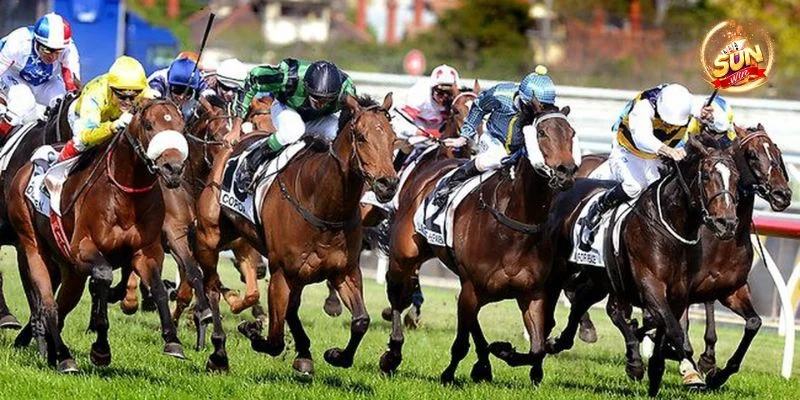 Mẹo Cá Cược Đua Ngựa Sunwin: Cược Thắng, Ăn Tiền Liền Tay