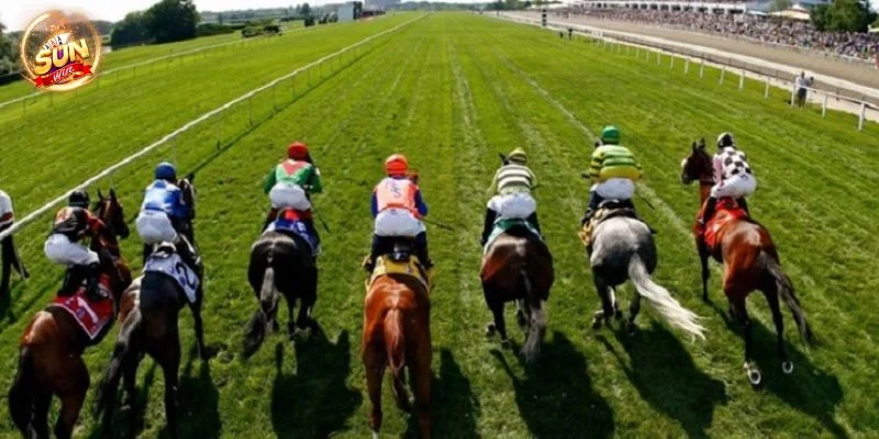 Mẹo Cá Cược Đua Ngựa Sunwin: Cược Thắng, Ăn Tiền Liền Tay 3 Sunwin cung cấp hệ thống kho kéo cá cược đỉnh cao.